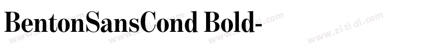 BentonSansCond Bold字体转换
